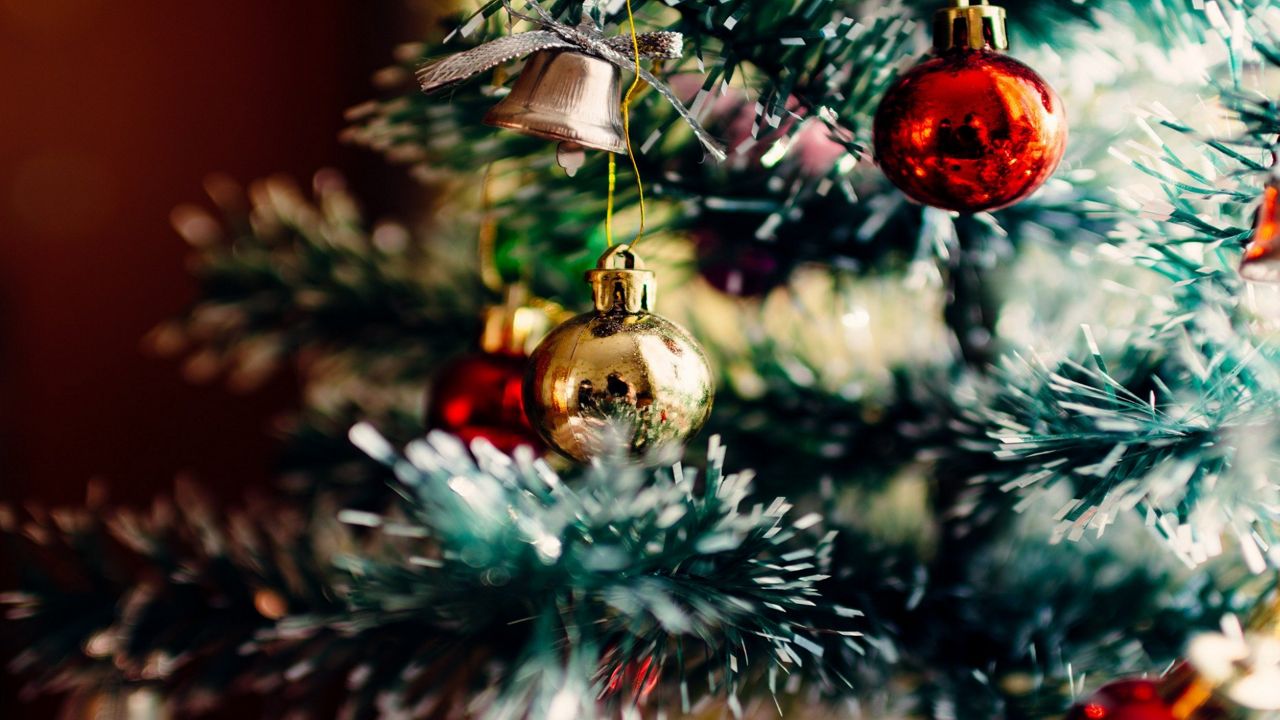 How to recycle or dispose of your Christmas tree this year